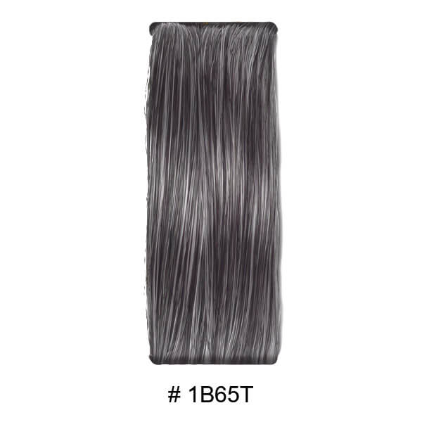 1B65T